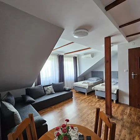 Pensjonat Pokusa Przewóz Exterior foto